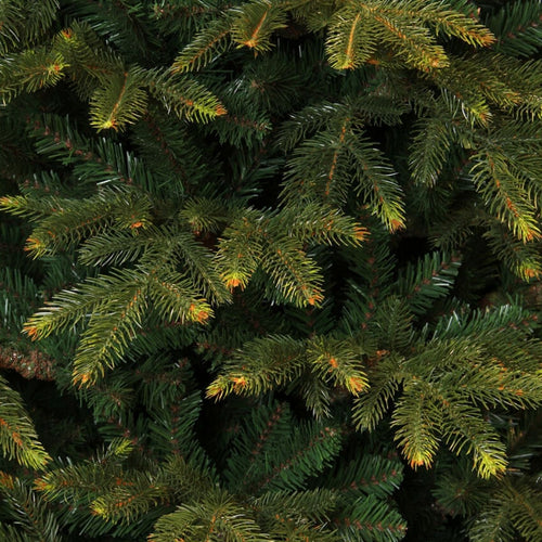 Black Box Trees Frasier Kunstboom - Kerstboom met Grillige Natuurlijke Vorm - PE Naalden en Scharnierconstructie - Kerstversiering voor Binnen - H155