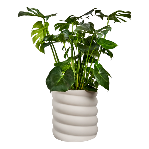 elho swirl 37 linen white | Bloempot | Dynamisch premium design