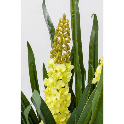 Kare Design Kunstplanten - Rhynchostylis - 150cm