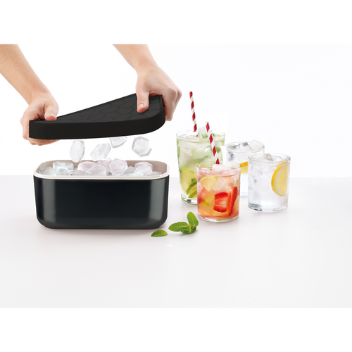 Lékué IJsblokjesvorm met bewaardoos