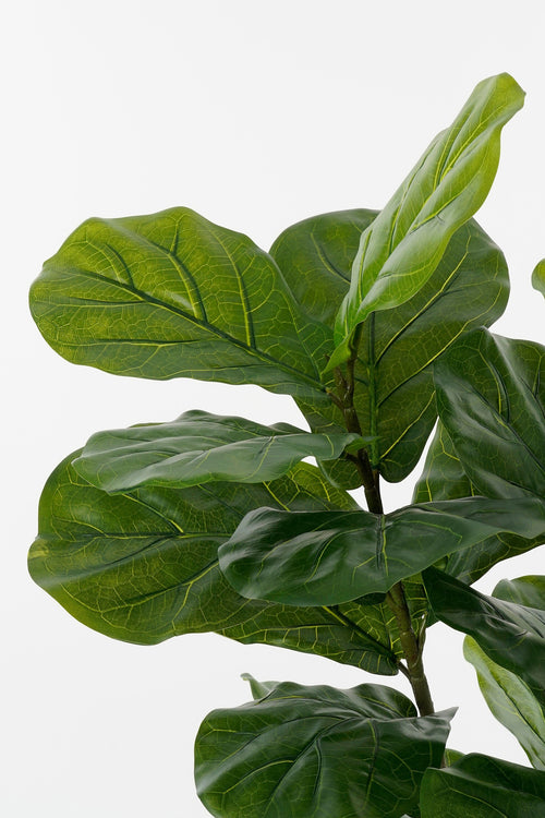 Mica Decorations Ficus Lyrata Kunstplant in Pot - H150 x Ø50 cm - Groen - vtwonen shop