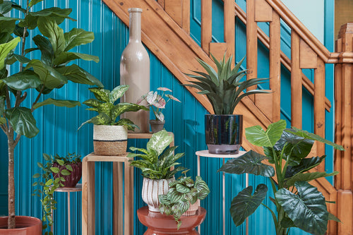 Mica Decorations Dieffenbachia Kunstplant in Bloempot Stan - H40 x Ø30 cm - Groen - vtwonen shop