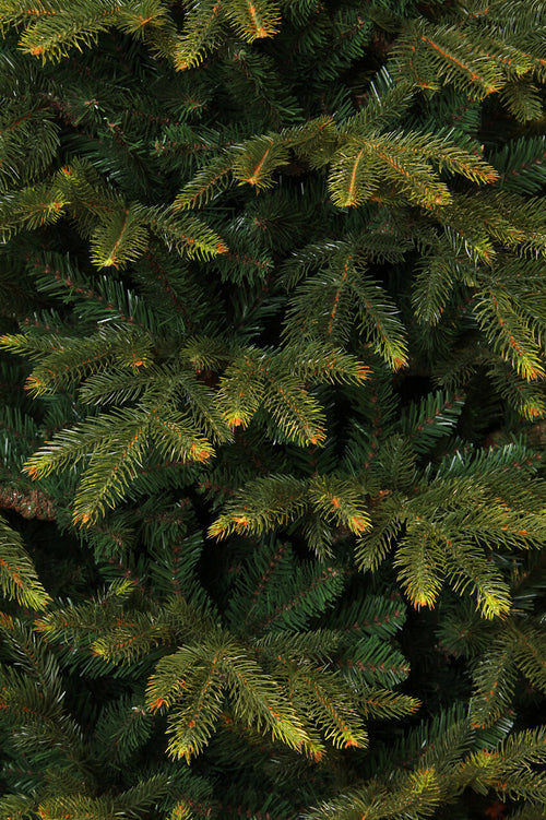 Black Box Trees Frasier Kunstkerstboom - H215 x Ø145 cm - Groen