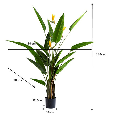 Kare Design Kunstplanten - Strelitzia Reginae - 190cm - vtwonen shop