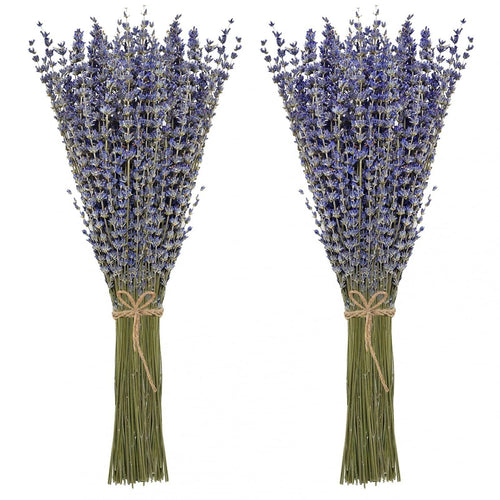 My Flowers.shop Twee bossen gedroogde Lavendel | 100 gram per bos | Super Deal - vtwonen shop