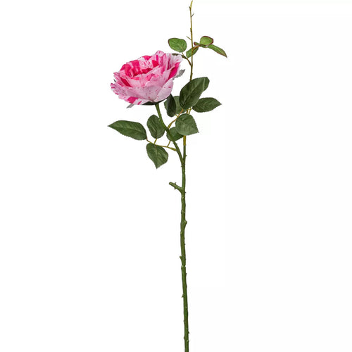 Flourify kunstbloem - Roos - 72 cm - bundel van 5 - vtwonen shop