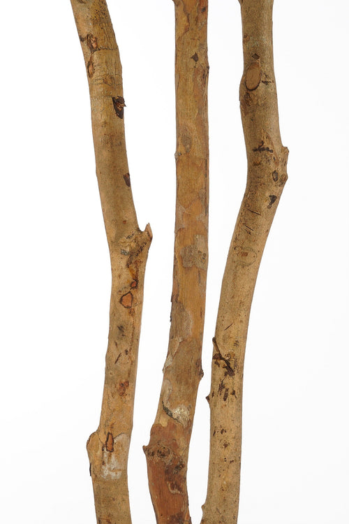 Mica Decorations Vingerplant Kunstplant in Bloempot - H150 x  Ø70 cm - Groen