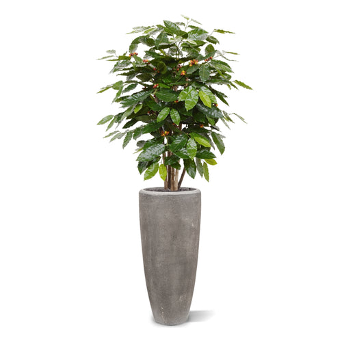 Maxifleur Coffee Arabica kunstplant 100cm
