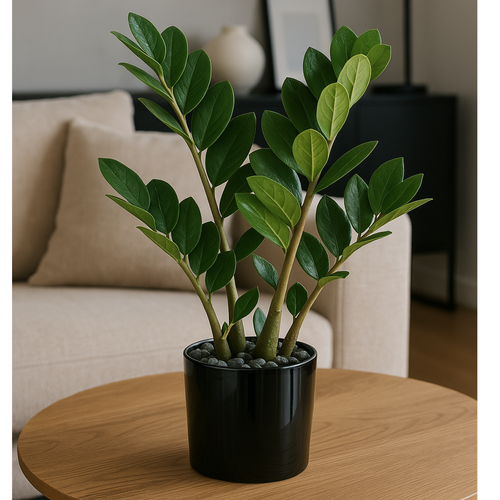 Flourify kunstplant - Zamioculcas - 45 cm - vtwonen shop