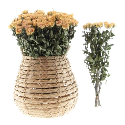 My Flowers.shop Tien gedroogde Peach Fuzz rozen | Lengte 50 centimeter | Per bos te bestellen - vtwonen shop