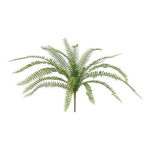 Maxifleur Asplenium Kunst Varen 50cm