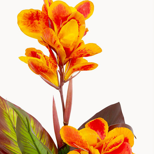 Kare Design Kunstplanten Canna Lily 115cm