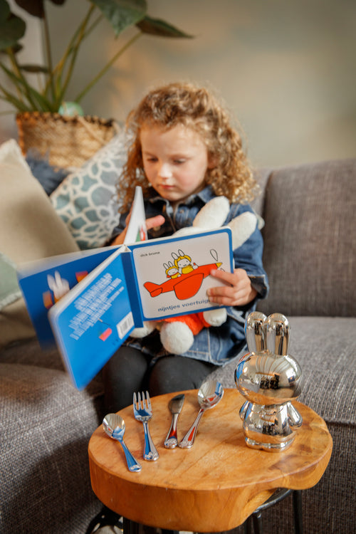 Zilverstad - Kindercouvert Nijntje voertuigen met boekje - 4 delig - RVS