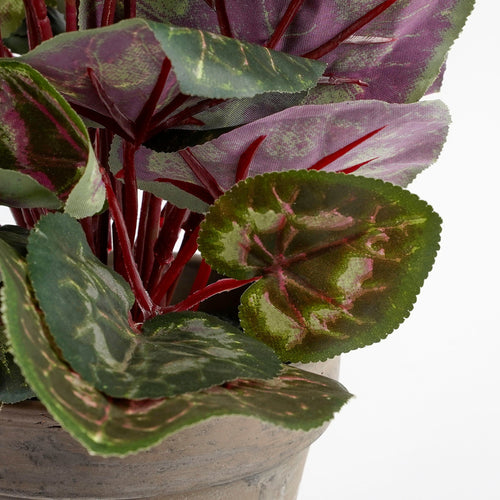 Mica Decorations Cyclaam Kunstplant in Bloempot Stan - H30 x Ø30 cm - Wit