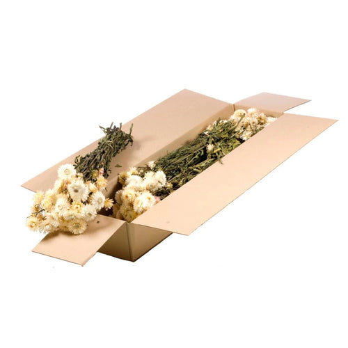 My Flowers.shop Gedroogde witte Helichrysum | Witte strobloemen droogbloemen | Lengte 55 centimeter | Per stuk - vtwonen shop