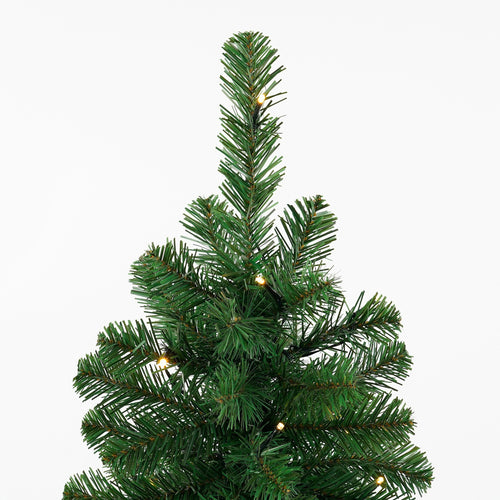Black Box Trees Norton Kerstboom met Verlichting in Pot - op Batterij - Groen - h90xd50cm