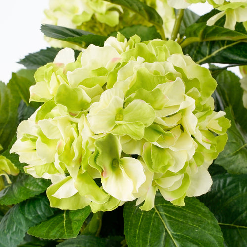 Mica Decorations Hortensia Kunstplant in Bloempot Stan - H45 x Ø45 cm - Groen - vtwonen shop