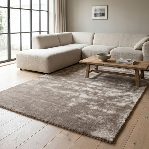 DÉJA Living Vloerkleed Roke - Lichtbruin Tencel - 200x290cm