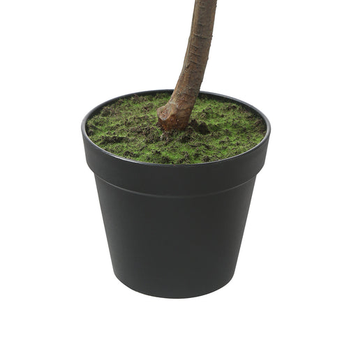 Sia Deco - Ficus in pot 165cm - Groen - Polyester - H165 - vtwonen shop