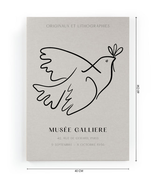 Canvas 60x40 Afdruk Picasso Duif