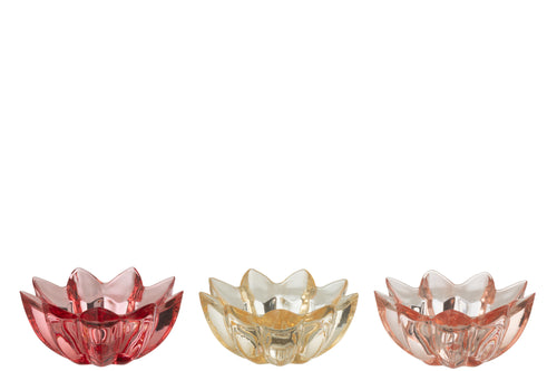 J-Line theelichthouder Bloem Warm - glas - mix - 3 stuks - vtwonen shop