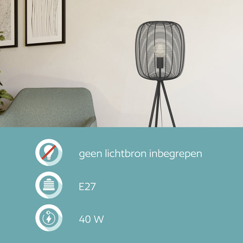 EGLO vloerlamp Derwen - e27 - metaal - zwart