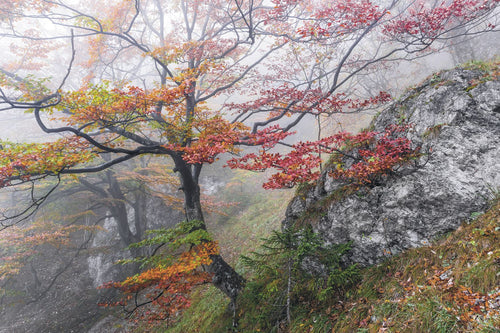 Sanders & Sanders fotobehang landschap rood, groen en oranje - 300 x 200 cm - 612500