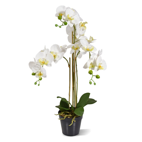 Maxifleur Phalaenopsis kunst Orchidee  75cm wit