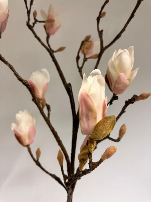 My Flowers.shop Lichtroze magnolia zijden bloem | Lengte 107 centimeter | Per stuk - vtwonen shop