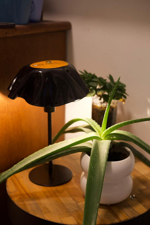 Vinylie Tafellamp - 150cm kabel, E14 fitting