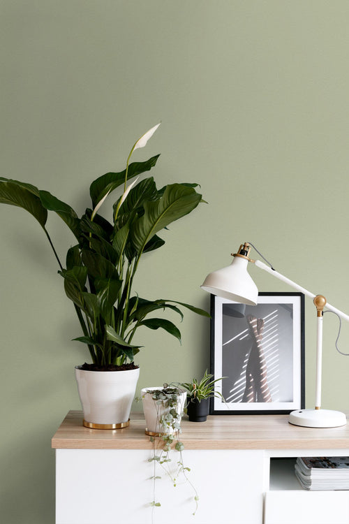 ESTAhome muurverf mat  vergrijsd groen - 2 l / ca. 18 m² - 191010
