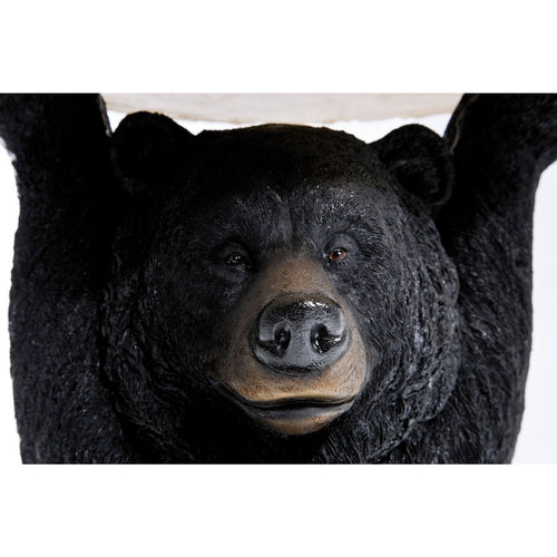 De Amerikaanse Zwarte Beer, Ursus Americanus, Is Een Middelgrote Beer Inheems Aan Noord Amerika Het Zoeken Naar Voedsel Klein Image118060030 De Amerikaanse Zwarte Beer, Ursus Americanus, Is Een Middelgrote Beer Inheems Aan Noord Amerika Het Zoeken Naar Voedsel Klein Image118060030