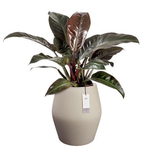 elho june split high 46 balanced beige | Bloempot |Premium statementdesign