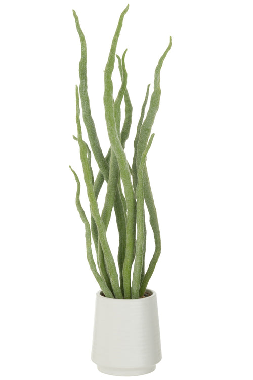 J-Line vetplant in pot - kunstmatig - groen