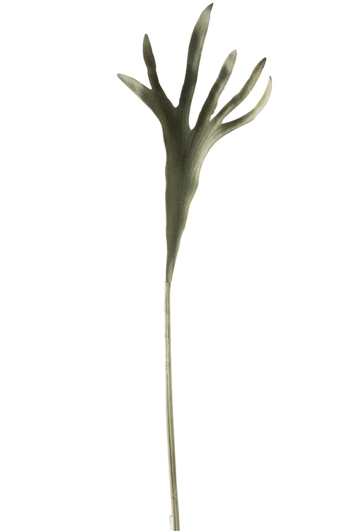 J-Line decoratie tak Hoorns - kunststof - mat groen - 12 stuks - vtwonen shop