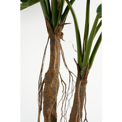 Mica Decorations Philodendron Kunstplant - H140 x Ø110 cm - Groen