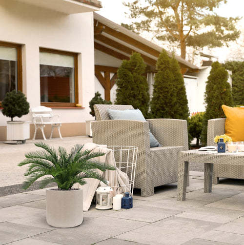 Maxifleur Cycas deluxe kunstpalm 60cm - UV bestendig