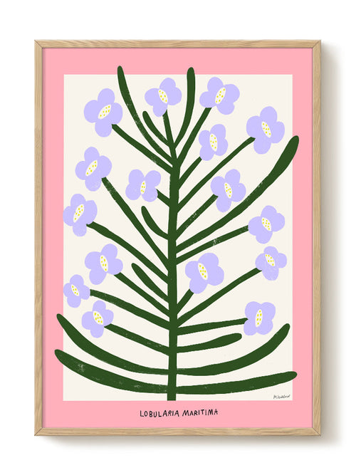 Madelen - Lobularia Maritima - PSTR studio Kunst Poster - vtwonen shop