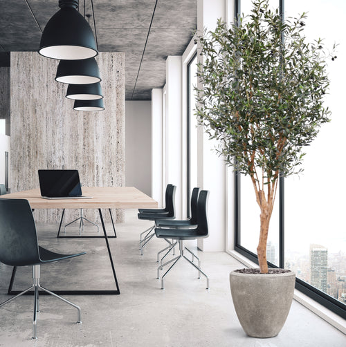 Maxifleur Olijf Deluxe kunstboom 250cm
