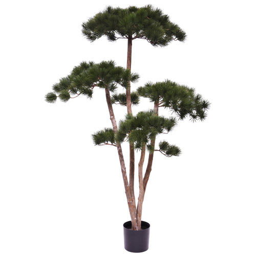 Maxifleur Pinus Kunst Bonsaiboom Deluxe 150cm