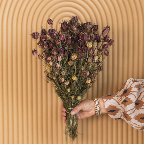 My Flowers.shop Gedroogde naturelle Nigella "Black Pod" droogbloemen | Lengte 60 centimeter | Per bos - vtwonen shop