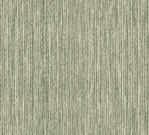 Sanders & Sanders behang bamboe vergrijsd groen - 53 cm x 10 m - 640059