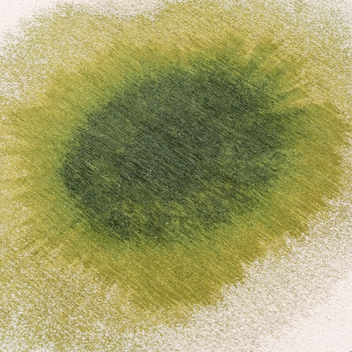 Ecorugs vloerkleed Green Pepper - groen - 240x240cm