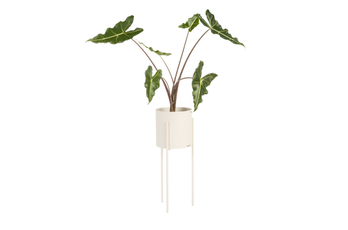 noo.ma MAKI Bloempot - lang - Piazza Beige - vtwonen shop