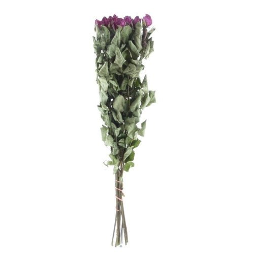 My Flowers.shop Tien gedroogde fuchsia rozen | Lengte 50 centimeter | Per bos te bestellen - vtwonen shop