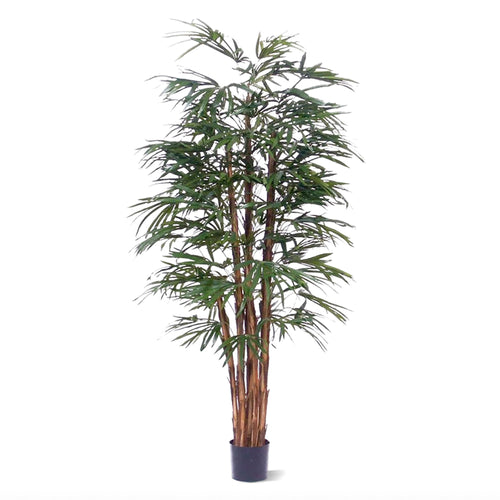 Maxifleur Raphis kunstpalm 190cm