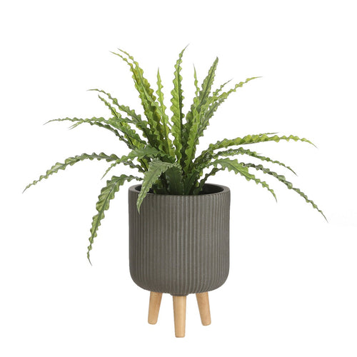 Mica Decorations Asplenium Kunstplant in Bloempot Stan - H54 x Ø66 cm - Groen