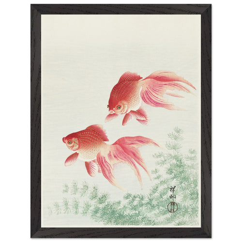 Artfulprints Poster met Lijst Ohara Koson - Two veil goldfish   - 30x40 cm - Meerkleurig