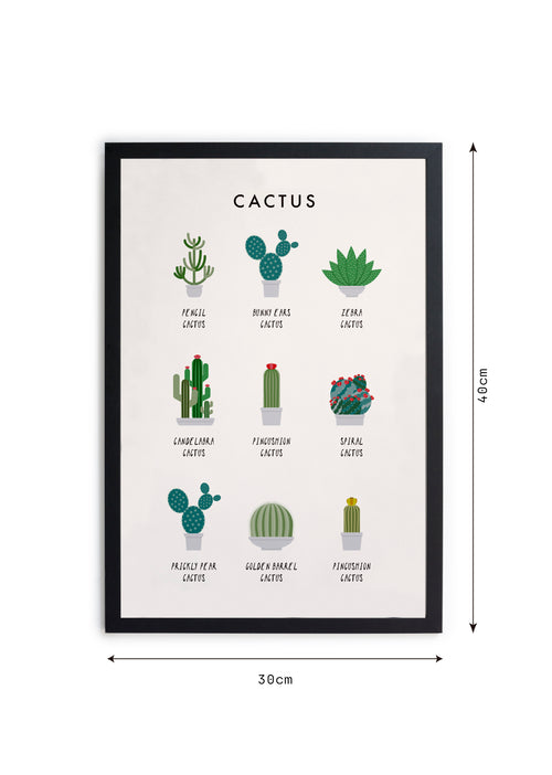 Zwarte lijst met kader 40x30 cactus - vtwonen shop