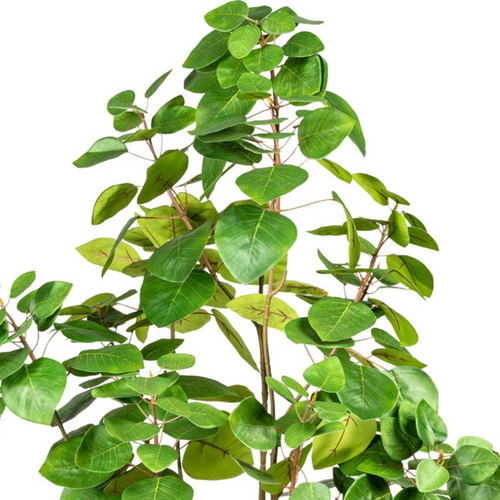 Flourify kunstplant - Eucalyptus - 120 cm - vtwonen shop